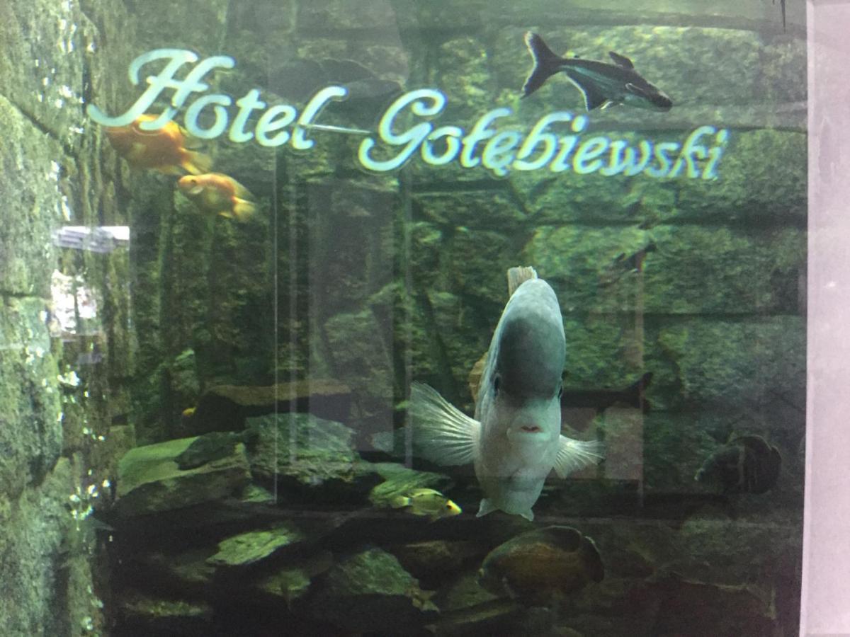 Hotel Golebiewski ビャウィストク エクステリア 写真